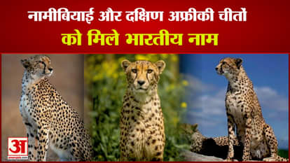 Kuno National Park: Naming of Namibian and South African Cheetahs, Siya became Jwala, Oban got Pawan name