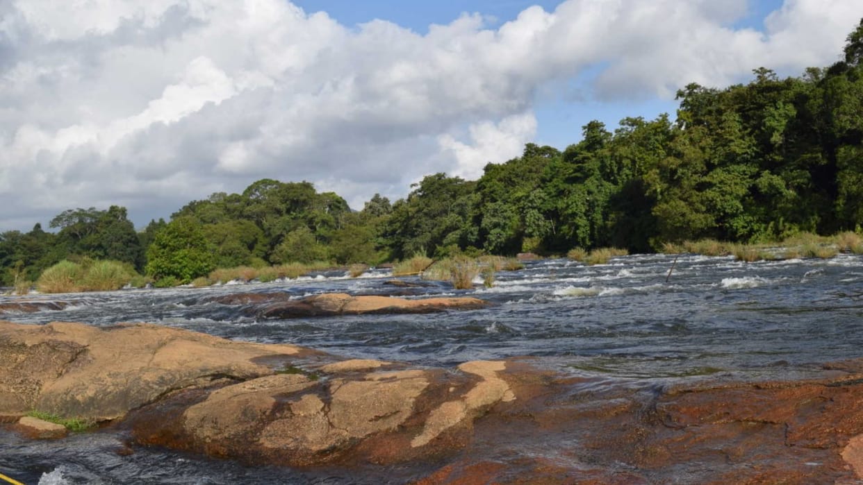world earth day 2023, everything in nature is interconnected a review on it
