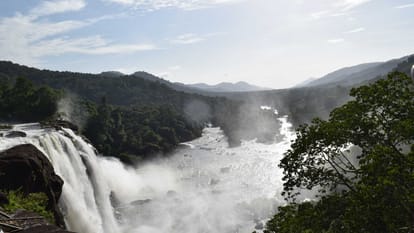 world earth day 2023, everything in nature is interconnected a review on it