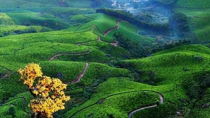 Kerala: सोशल मीडिया पर वायरल हुई केरल की सुंदरता, इंटरनेट पर 69 हजार बार देखा जा चुका है वीडियो Kerala: The beauty of Kerala went viral on social media, the video has been viewed 69 thousand times on the In