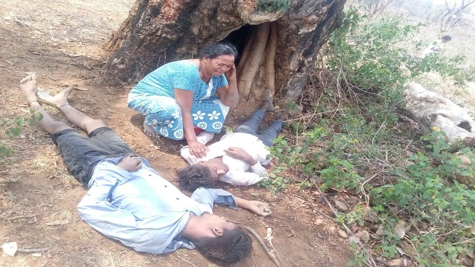 Nature havo Three including two brothers died incidents falling