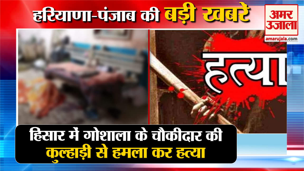 हरियाणा न्यूज