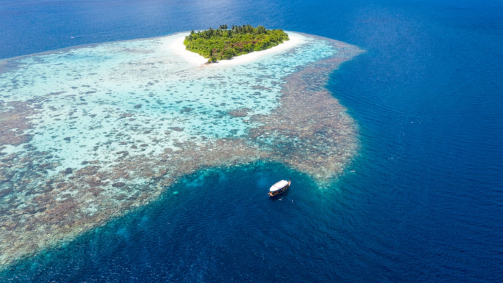 Point Nemo: loneliest place on earth satellites are buried in this place mysterious voices are heard