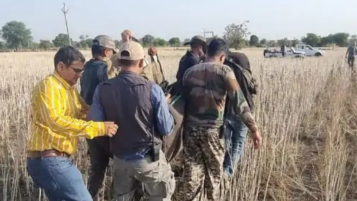 Kuno National Park: Cheetah Pawan Was Tranquilized From Shivpuri News in Hindi