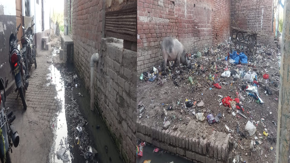 People troubled by dirt and dilapidated roads in ward number seven of Municipal Council in Etah