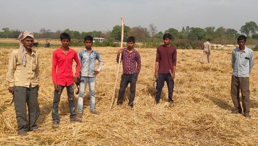 Human skeleton found in the field in Hardoi, head and dry blood found in bushes, relatives identified by cloth