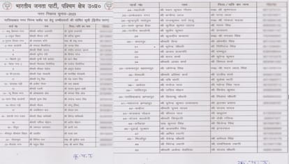 Nikay Chunav 2023: BJP released list of candidates, see full list here