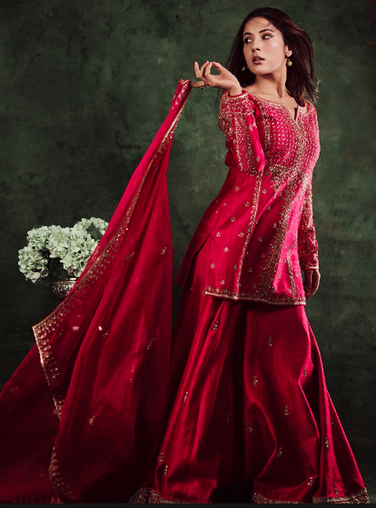 पिंक सूट में फैंस का दिल धड़कातीं शहनाज गिल