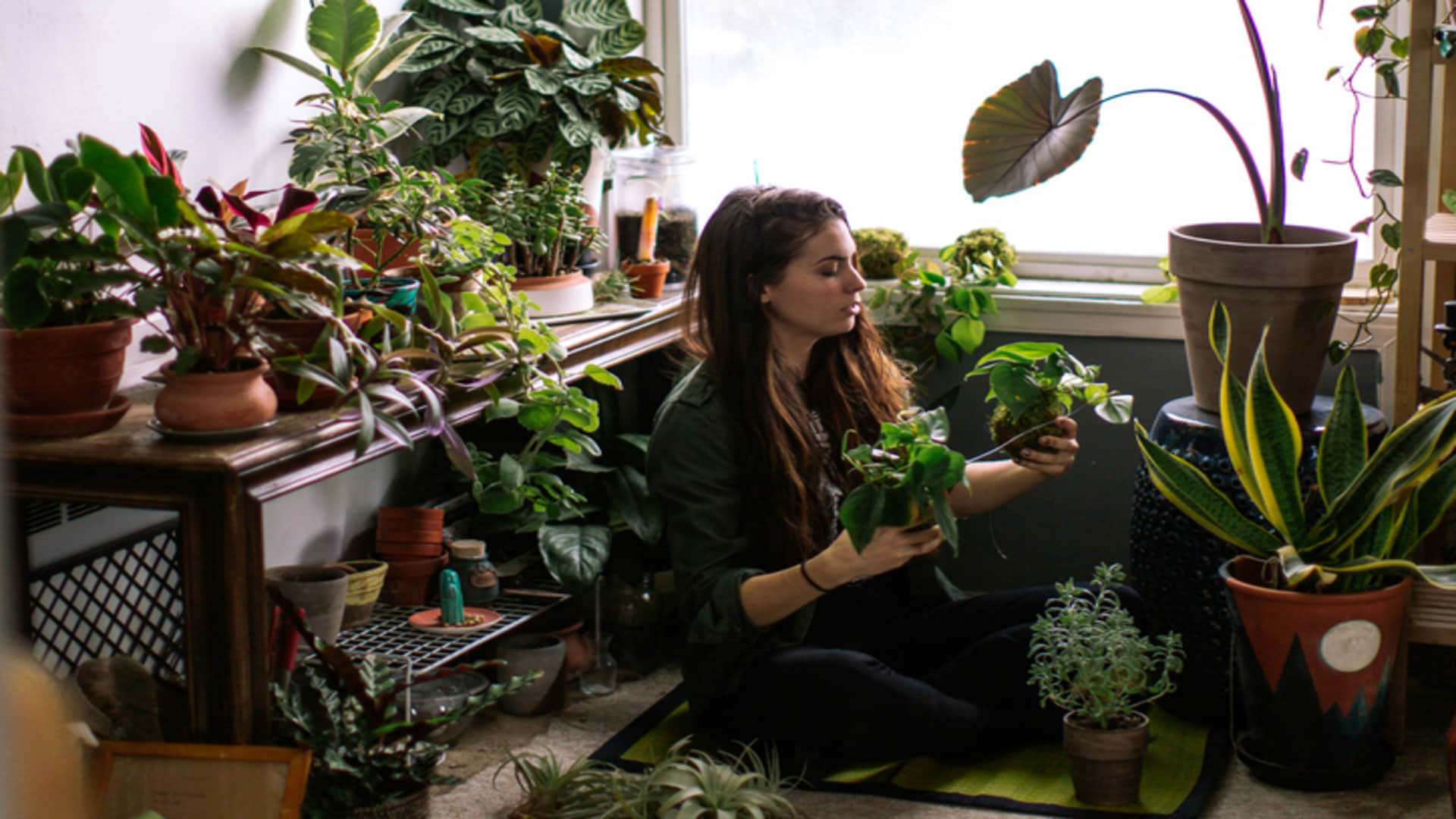 Israeli Scientist Recorded Sound of Plants and found that plants Can Talk