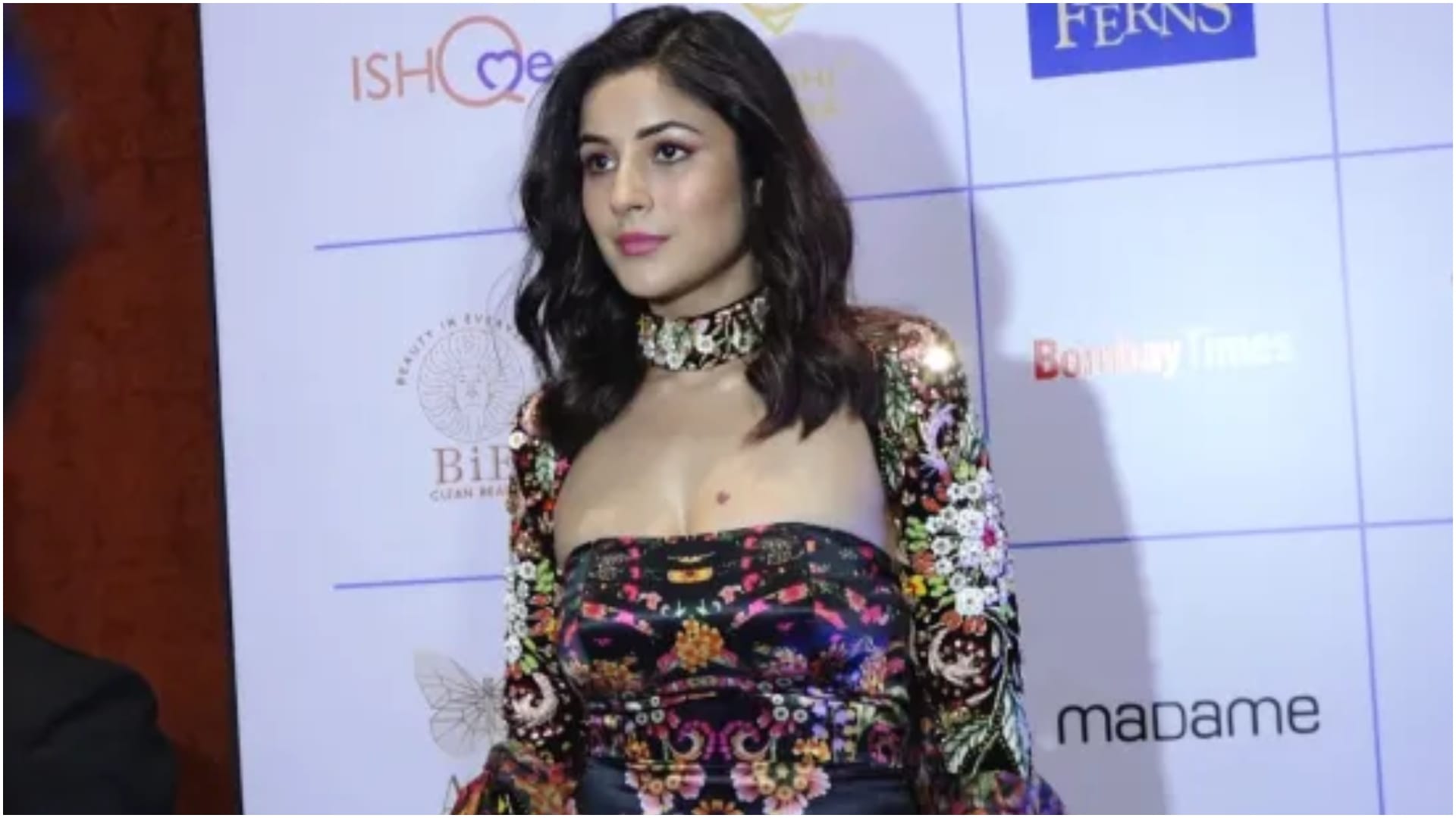 Kisi Ka Bhai Kisi Ki Jaan: Shehnaaz talks about her future plan cites similarities between her and Salman Khan