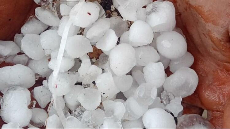 Chhattisgarh Weather Alert: Hail fell in Kabirdham Bemetara storm ruined mangoes in Kanker