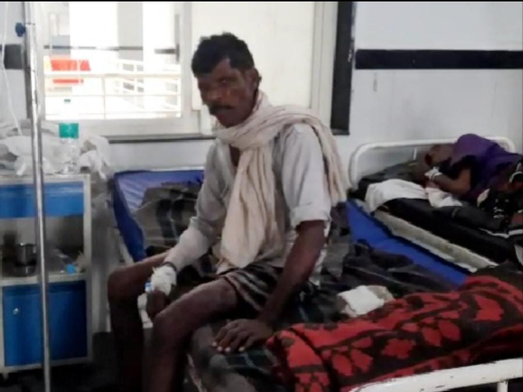 Bear attacked a young man who went to pick Mahua, injured in hands and feet, hospitalized