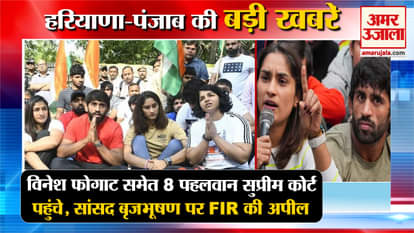 WFI Chief vs Wrestlers Protest 8 Wrestlers Including Vinesh Phogat Reached The Supreme Court Top News Haryana