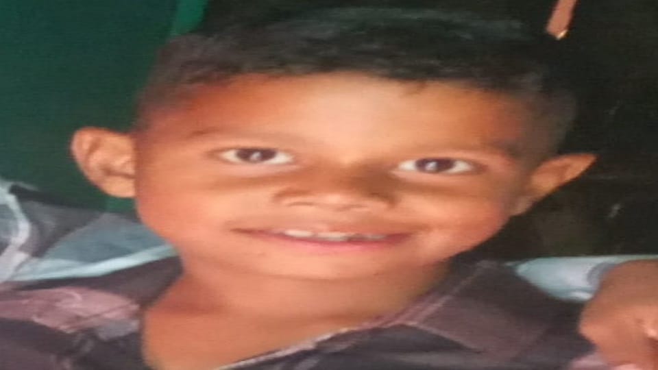 Child body found in bushes