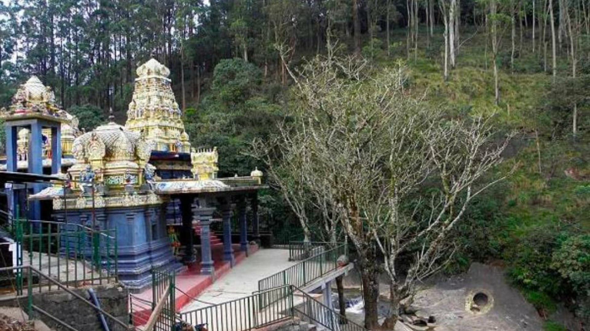 नुवारा एलिया