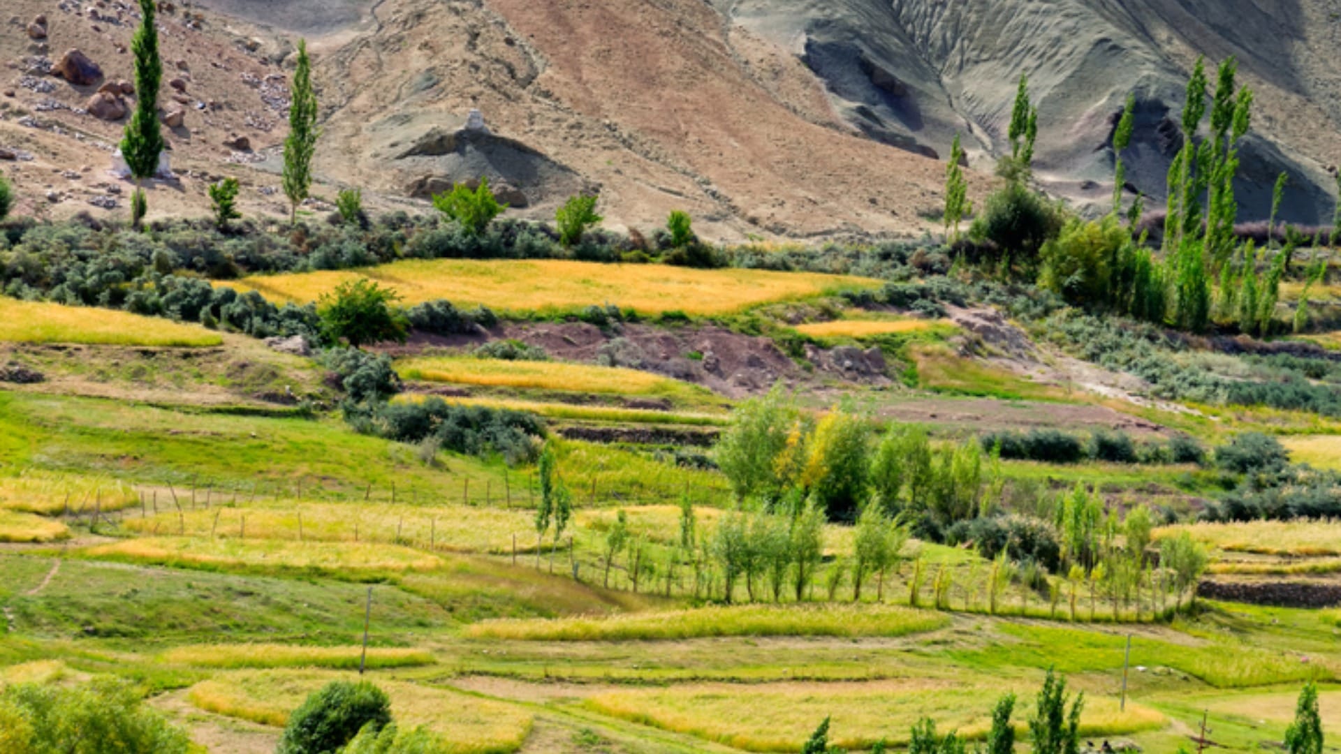 Top Hottest Place on Earth Know Interesting Facts About World’s Hottest Place