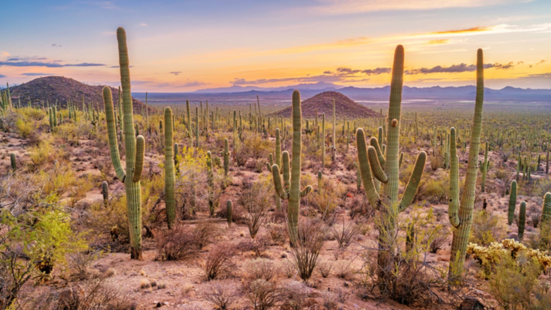 Top Hottest Place on Earth Know Interesting Facts About World’s Hottest Place