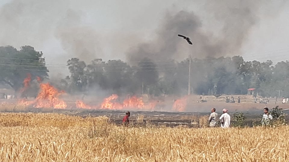 jammu arnia 150 kanal crop caught fire only one fire engine reached to control