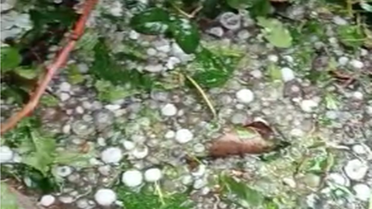 Nainital Weather: Rain and hail fell in Nainital
