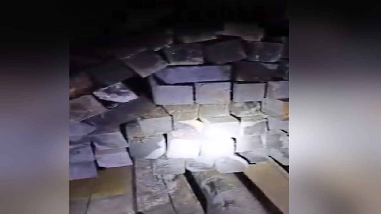 Forest Department team caught a truck loaded with 115 sleepers of deodar
