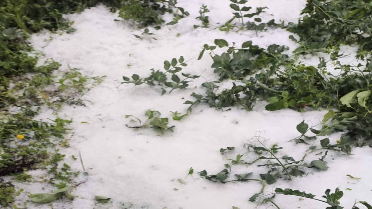 Himachal Weather update: forecast of rain and snowfall for four days, alert for thunderstorm