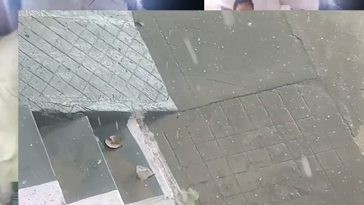 Hail fell in Shahdol in the afternoon, 11 cattle died due to lightning in Umaria