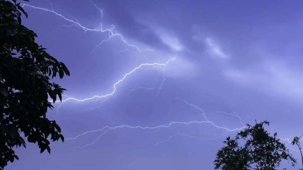 Umaria News Youth dies due to lightning