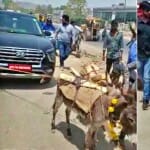 18 लाख की कार को खींचते गधे।