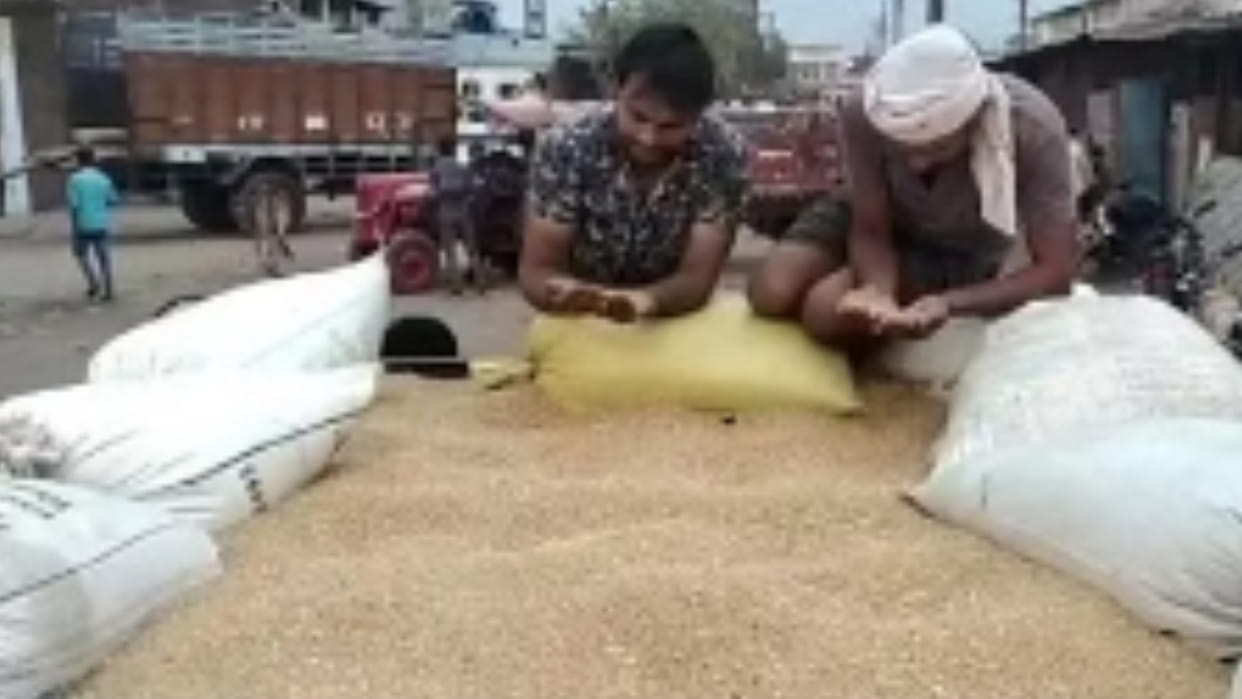 Sehore: Maximum 39 lakh quintals arrived in Ashta Mandi, created a new record with an income of 18 crores