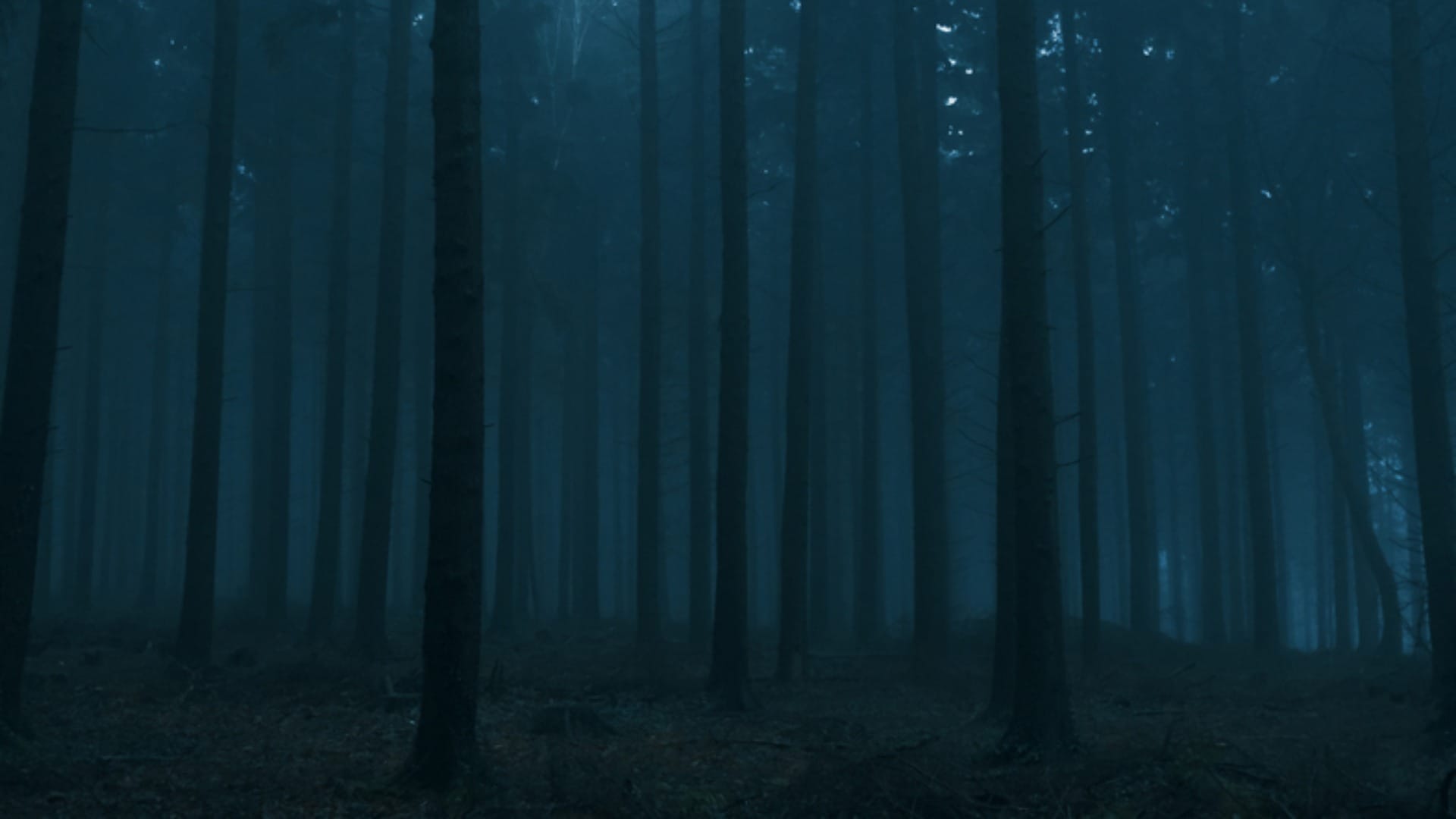 Ghost Haunted Forest in World Know Interesting Facts in Hindi