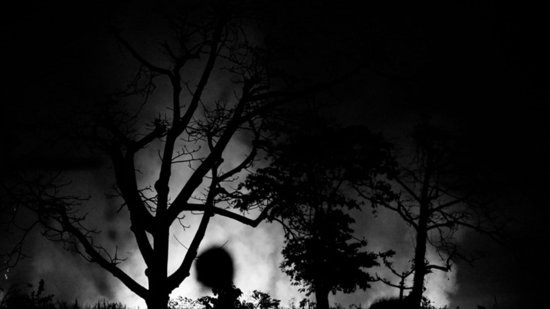Ghost Haunted Forest in World Know Interesting Facts in Hindi