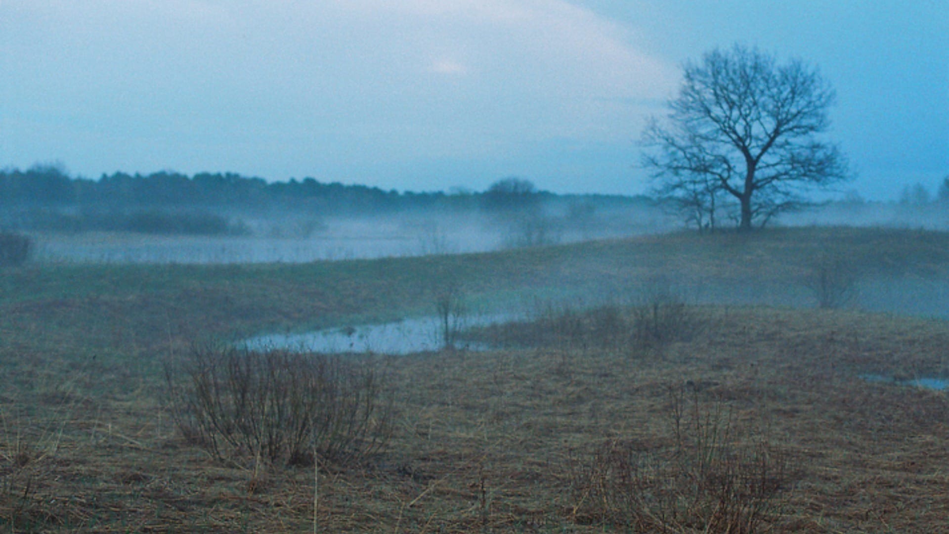 Ghost Haunted Forest in World Know Interesting Facts in Hindi