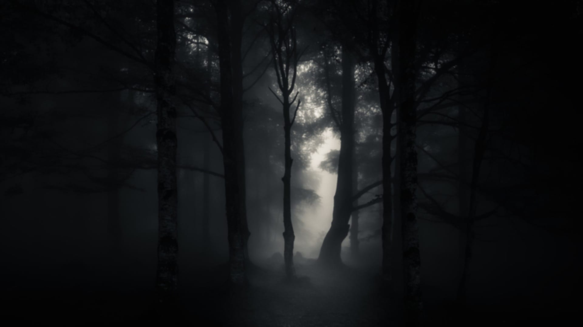 Ghost Haunted Forest in World Know Interesting Facts in Hindi