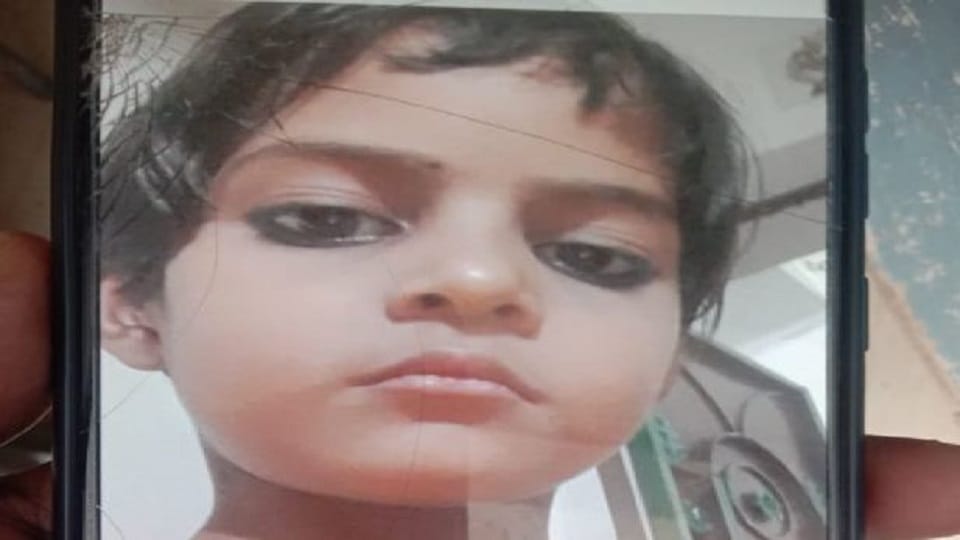 Class second student killed in Bolero collision in Bareilly