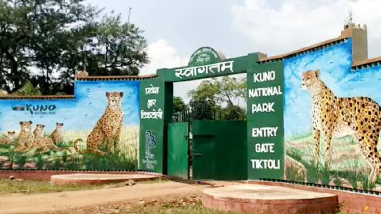 Kuno National Park: Poachers eye on Kuno, forest department team caught a hunter