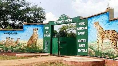 Kuno National Park: Poachers eye on Kuno, forest department team caught a hunter