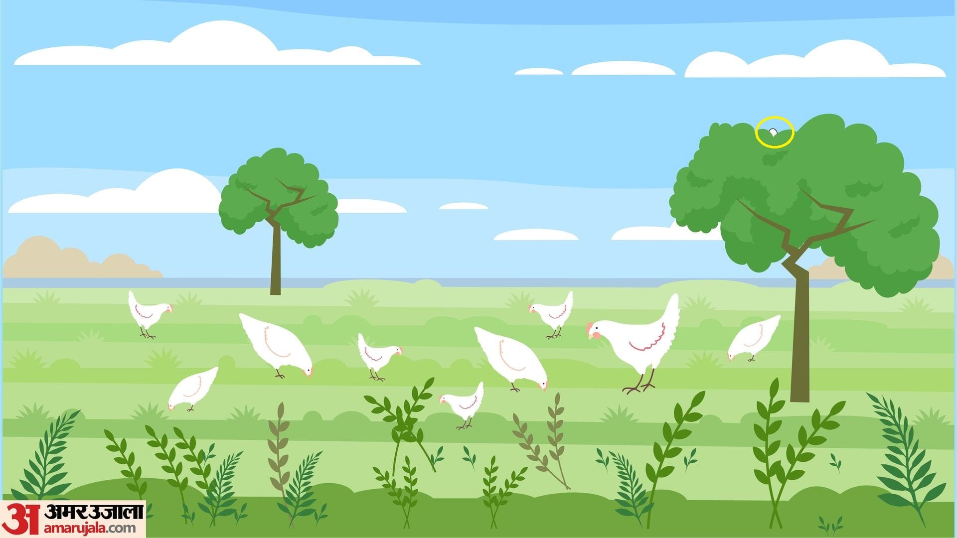 Optical Illusion IQ Test: Viral Optical illusion find hidden Egg in picture check your brain iq personality