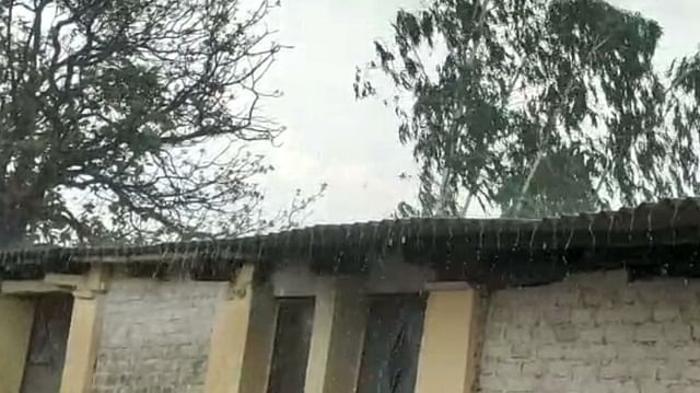 Madhya Pradesh Rain: Hail fell with heavy rain in many districts including Bhopal-Rajgarh-Burhanpur