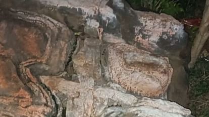 Thousands of years old fossils victim of neglect: cow's hoof on stone, moon-sun-elephant footprints