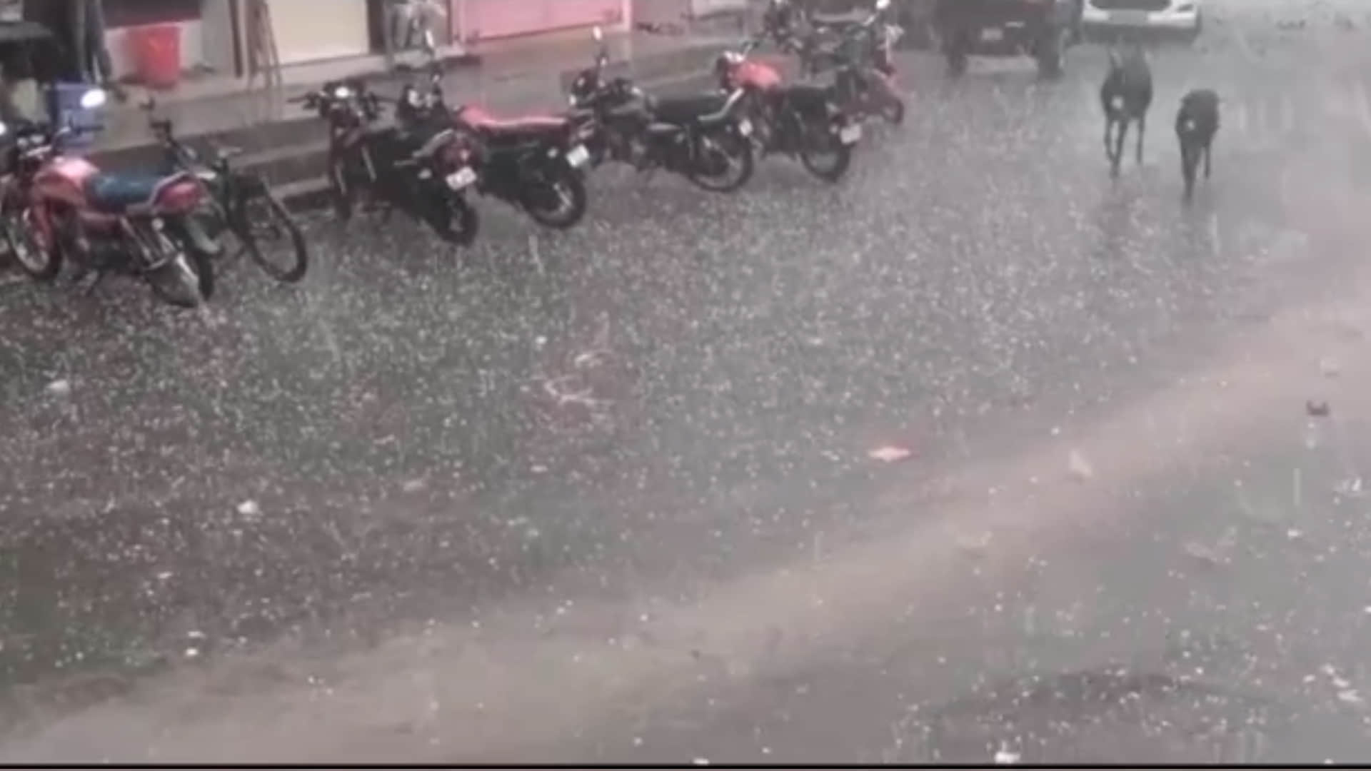 Madhya Pradesh Rain: Hail fell with heavy rain in many districts including Bhopal-Rajgarh-Burhanpur