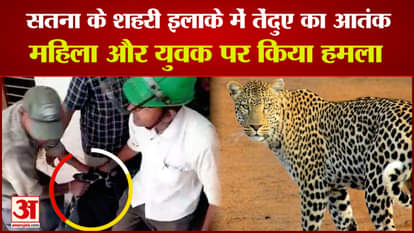 Leopard terror in the urban area, entered the house and attacked a woman and a young man