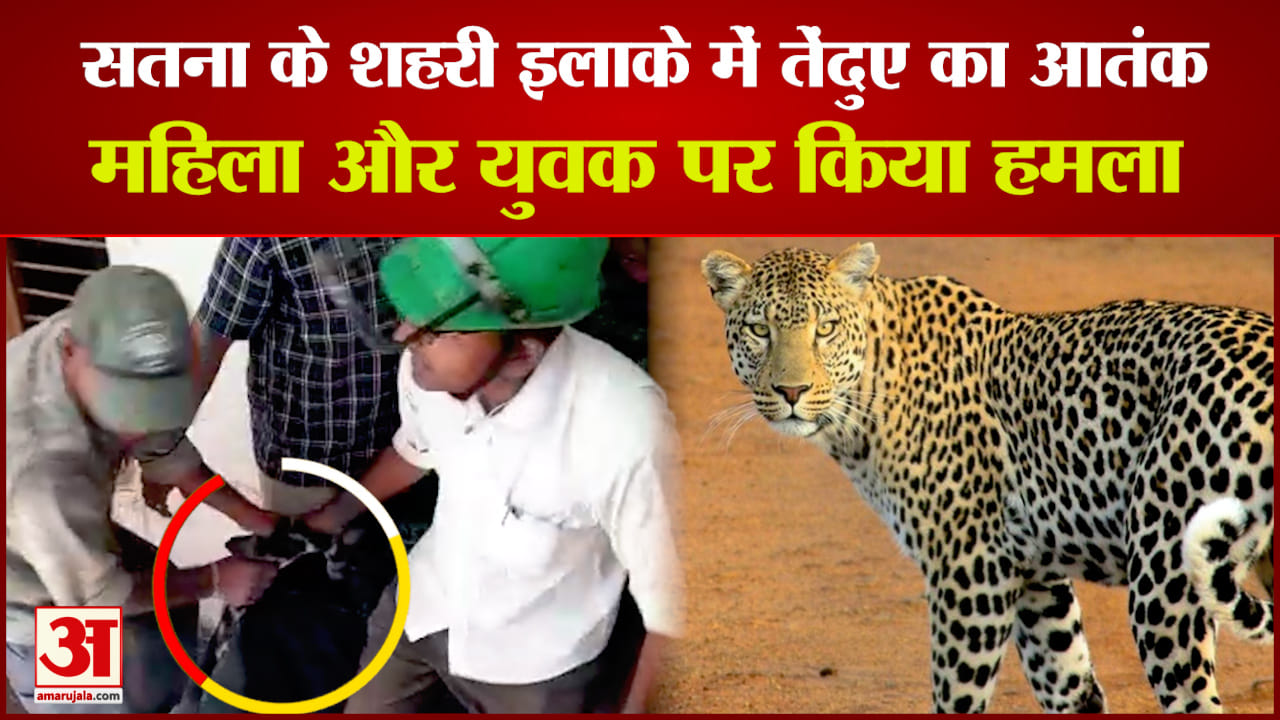 पकड़ा गया तेंदुआ