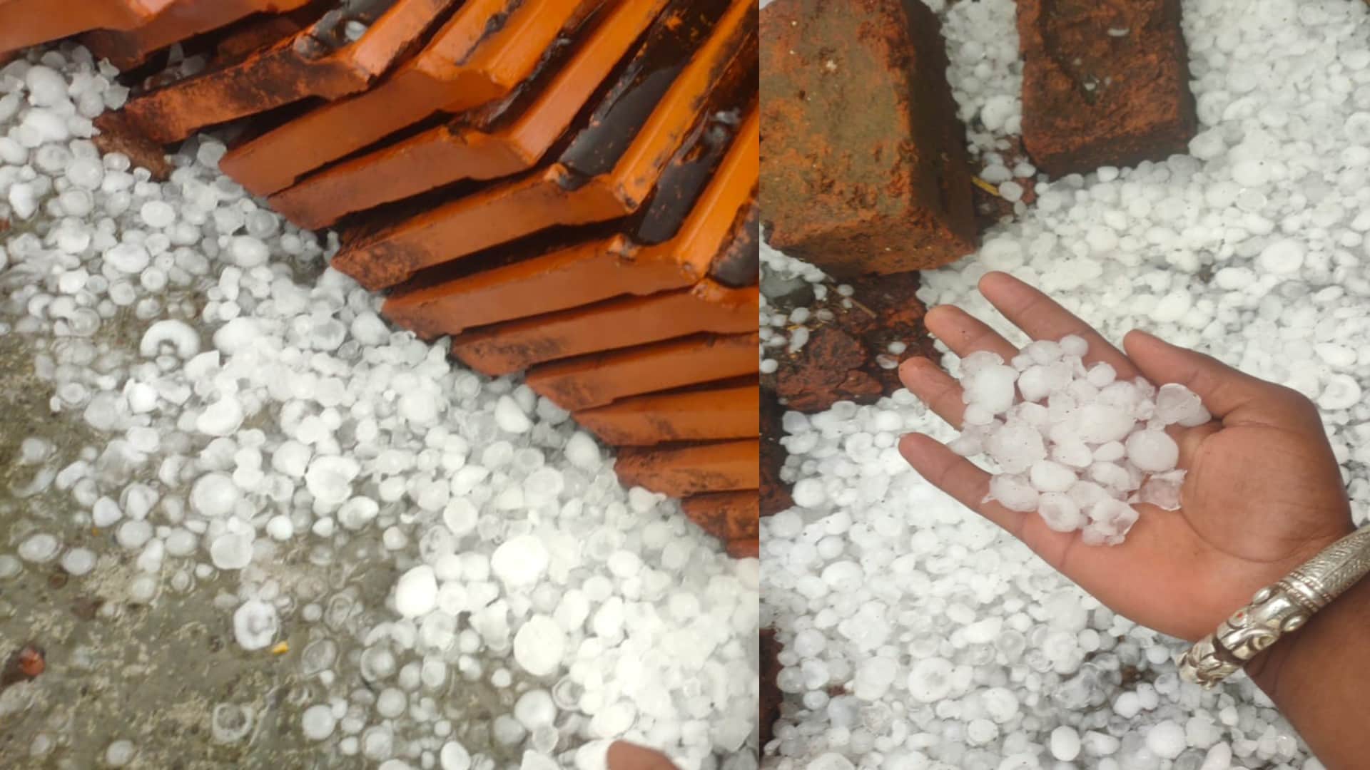 राजगढ़ में शुक्रवार दोपहर के समय ओले गिरे।