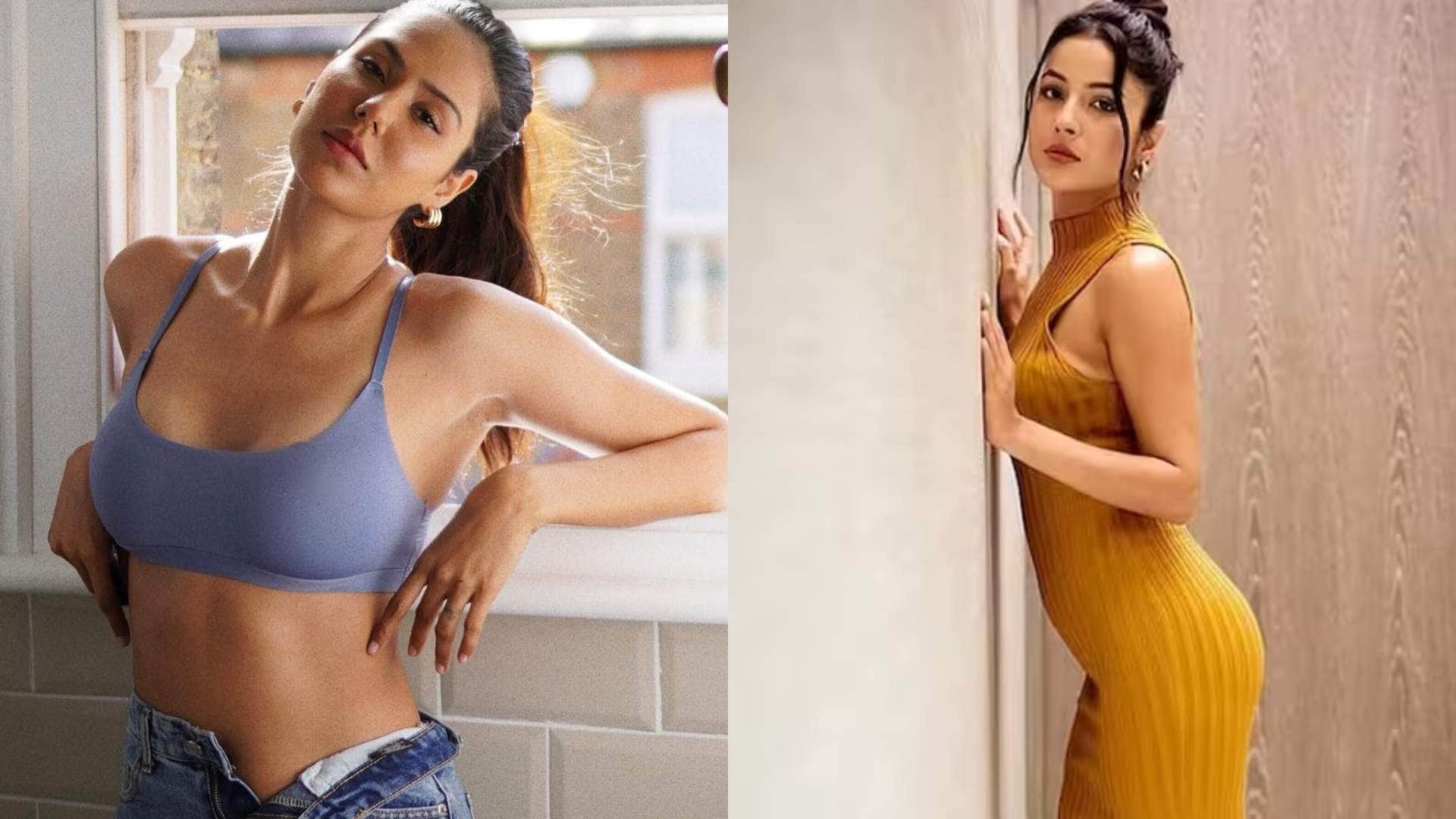 Sonam Bajwa broke silence on competition with Shehnaaz Gill said I will be very honest but