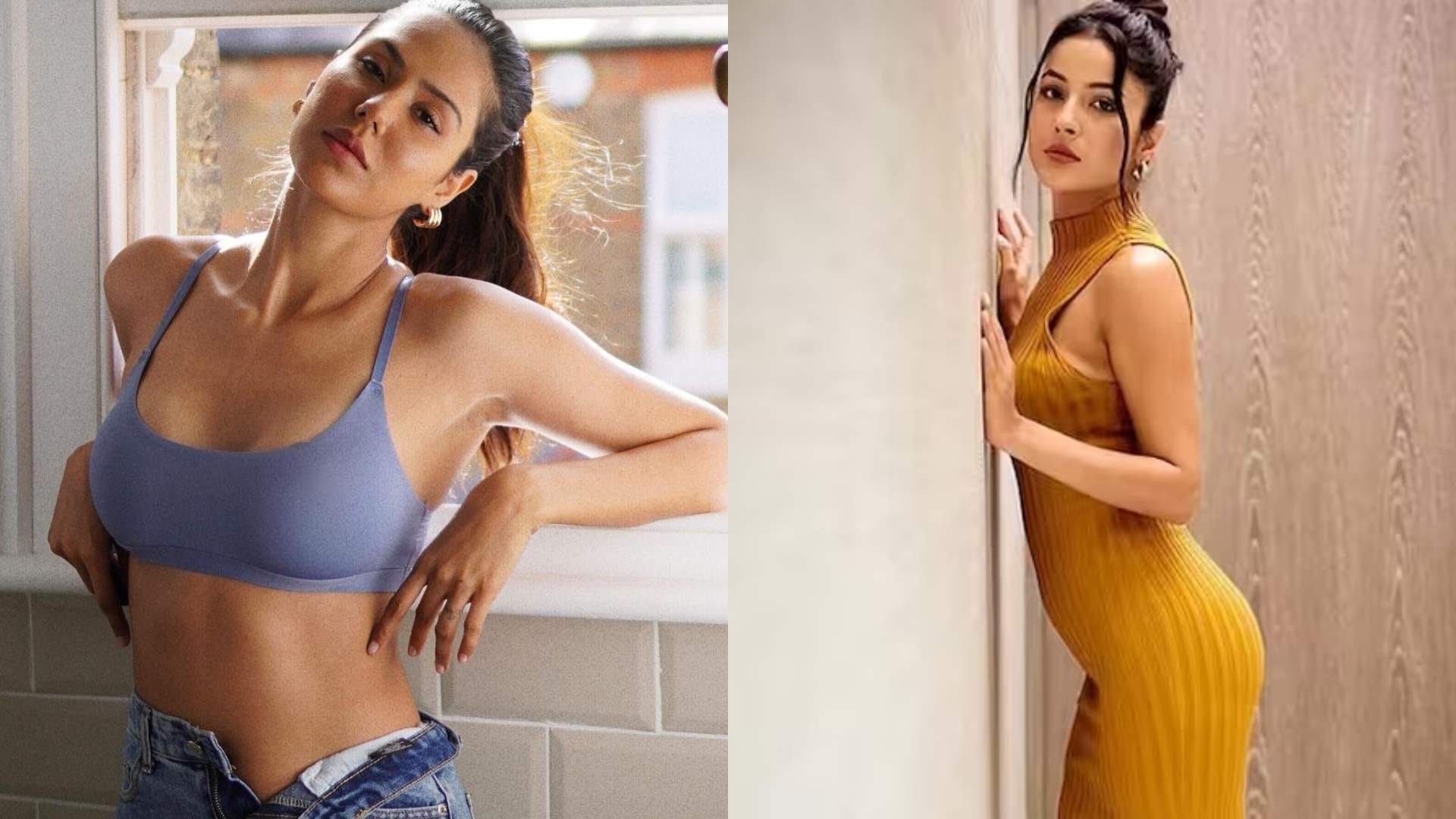 Sonam Bajwa broke silence on competition with Shehnaaz Gill said I will be very honest but