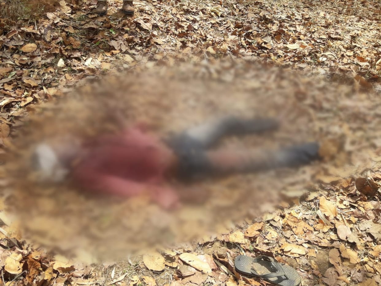 Bandhavgarh Tiger Reserve: Dead body found in Tiger Reserve, two injured in leopard attack