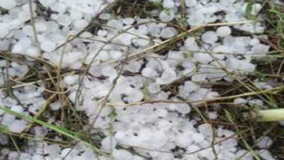 Change in weather of Jammu and Kashmir resulted in drop in temperature, 3.8 mm of rain in Jammu