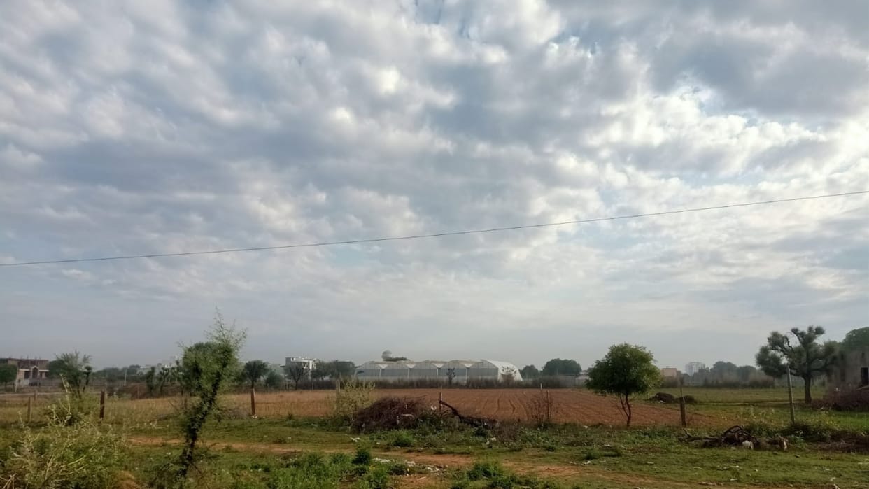 Rain alert on Saturday in 28 out of 33 districts of Rajasthan state