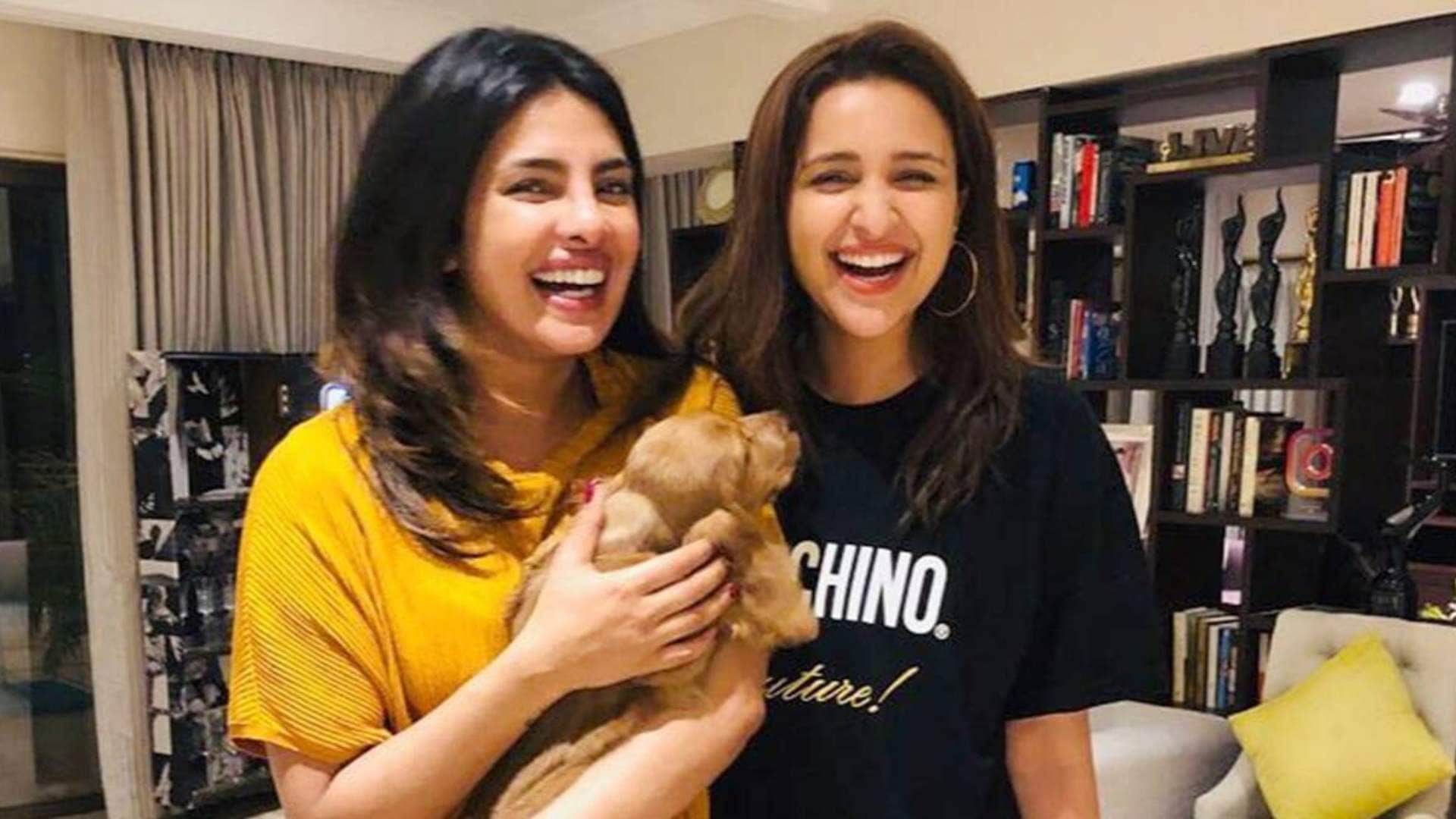 From Priyanka Chopra to Ranbir Kapoor These  Stars Did Not Work Together Belongs to Same Family