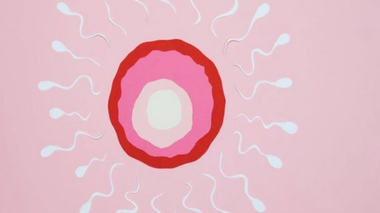 Netherlands: Netherlands Court bans 41-year-old man from donating sperm, fathered between 550-600 children